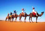 shared-2days-marrakech-to-zagora-desert
